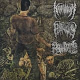 Viagra Doping Control