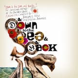 Funk It Up (David’s Song) (special disco version)