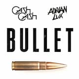 Bullet