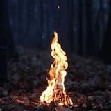 Idk whats happening, but at least i have ukulele