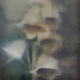 Silk Song & Viridescence