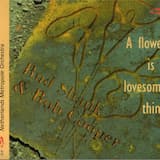 Like Someone In Love