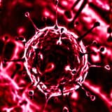 Lipstick Cherry Virus