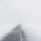 回転する時間 Endless Loops of Time