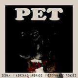Pet
