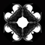 New State of Consciousness