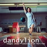 You Must Be Shittin' Me