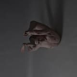 Sinking in the Sorry