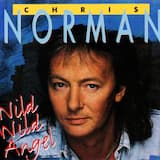 Wild Wild Angel (Radio Edit)