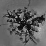 Pressure's Gone At Night