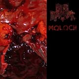 Spleen Splitting Pavement