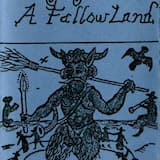 Sun Comes To The Wood