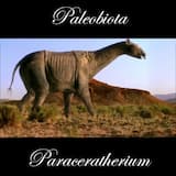 Paraceratherium