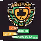 Jump Around (original mix)