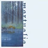 Becoming Meaningless