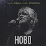 Középeurópai hobo blues II.