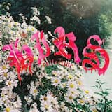 1994 / What Is Love Without Purpose