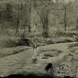 The Heart Is a Lonely Hunter