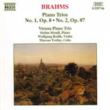 Trio no. 1 in B major, op. 8: I. Allegro con brio