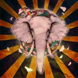 Hazy Dream of a Forty-Niner