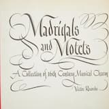 Diaphenia Like The Daffdowndilly