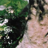 泣いているのは