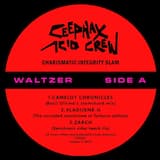 Camelot Chronicles (Basil Ultima's Slamchord mix)