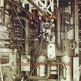 Acetate Lick Screamer (45 Rapes Per Monster)