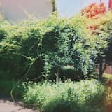 Nidome Wa Mado O Akete