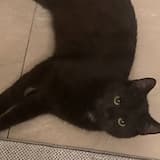 87.5 bpm 1:27 PM UTC +10