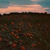 Snefald over fjorden