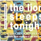 The Lion Sleeps Tonight