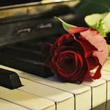 Part. I: Cherry Blossom