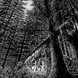 All in the Sepia Daydream