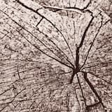 Физическая интерпретация