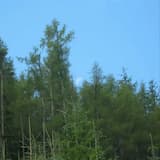 It’s Not Doing Me Any Good