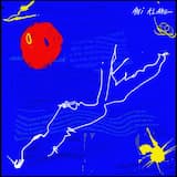 To Pacifiy the Asinine