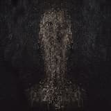 The Awakening of the Sleeping Serpent