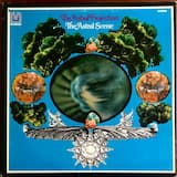 Accordian Pleated Mind