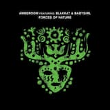 Forces of Nature (Radio Slave 'New Age of Love' remix, Part 2)