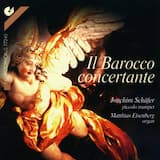 Konzert G-Dur (orig. für Oboe): II. Largo