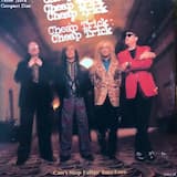 Can’t Stop Fallin’ Into Love (radio mix)