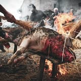 Campas do Negro Breu