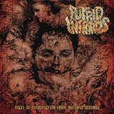 My Perverted Fantasy