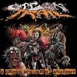 A Gross Misuse of Anatomy