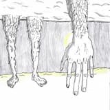 [I Perceive Your Resonance]