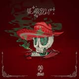 La pelle et le costard