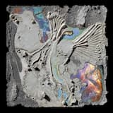 marcher sous l'averse