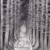 Valu Ja Pimeduse Must Auk On Mu Hing