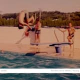 Standing Like Towers, in a Field, in the Rain